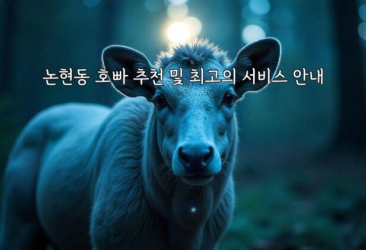 논현동 호빠 추천 및 최고의 서비스 안내