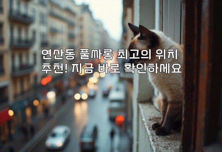 연산동 풀싸롱 최고의 위치 추천! 지금 바로 확인하세요